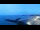 Webcam in Wyk auf Föhr, 0.6 km