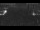 Webcam in Toscolano-Maderno, 9.9 km entfernt