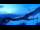 Webcam in Axamer Lizum, 1.1 km entfernt