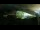 Webcam in Axamer Lizum, 9.3 km