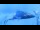 Webcam in Axamer Lizum, 3.6 mi away