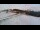Webcam in Gossensaß, 10.2 km
