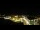 Webcam in Canmore, 44.5 mi away