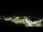 Webcam in Canmore, 66.7 mi away