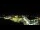 Webcam in Canmore, 300.7 km