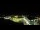 Webcam in Canmore, 41.4 mi away