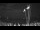 Webcam in Marinella di Sarzana, 3.2 mi away