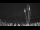 Webcam in Marinella di Sarzana, 1.5 mi away