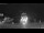 Webcam in Isola San Domino, 42.8 km