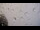 Webcam in Saint-Philippe, 77.4 mi away