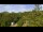 Webcam in Mango, 3 mi away