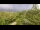 Webcam in Mango, 22.1 mi away