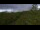 Webcam in Mango, 11.2 km
