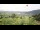 Webcam in Pfronten, 0.7 mi away