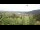 Webcam in Pfronten, 4 km