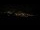 Webcam in Pfronten, 0.3 mi away