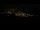Webcam in Pfronten, 4 km entfernt