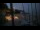 Webcam in Meschers-sur-Gironde, 17.4 km