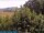 Webcam in Bolonia, 28.3 km