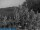 Webcam in Bolonia, 21.7 km