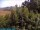Webcam in Bolonia, 14.3 km