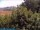 Webcam in Bologna, 21.7 km