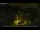 Webcam in Trieste, 0.6 mi away