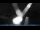 Webcam in Breitbrunn am Chiemsee, 11 km entfernt