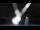 Webcam in Breitbrunn am Chiemsee, 9.5 km entfernt