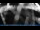 Webcam in Breitbrunn am Chiemsee, 17 km