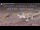 Webcam in the Gondwana Namib Park, 431.5 mi away