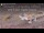 Webcam in the Gondwana Namib Park, 308.3 mi away