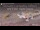 Webcam in the Gondwana Namib Park, 439 mi away