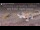 Webcam in Gondwana Namib Park, 256.5 km