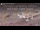 Webcam in Gondwana Namib Park, 467.5 km