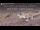 Webcam dans le Gondwana Namib Park, 497.2 km
