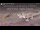 Webcam dans le Gondwana Namib Park, 1111.2 km