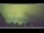 Webcam in Nienburg, 25.3 km