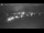 Webcam in Frauenwald, 13.4 km
