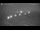 Webcam in Frauenwald, 33.9 km