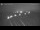 Webcam in Frauenwald, 11.6 km
