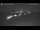 Webcam in Frauenwald, 4 mi away