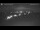 Webcam in Frauenwald, 4.7 mi away