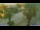 Webcam in San Benedetto del Tronto, 9.3 mi away