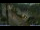 Webcam in San Benedetto del Tronto, 13.6 km
