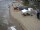 Webcam in Heringsdorf (Usedom), 7.3 mi away