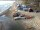 Webcam in Heringsdorf (Usedom), 2 km