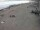Webcam in Heringsdorf (Usedom), 19 km