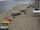 Webcam in Heringsdorf (Usedom), 19 km entfernt