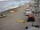 Webcam in Heringsdorf (Usedom), 19 km